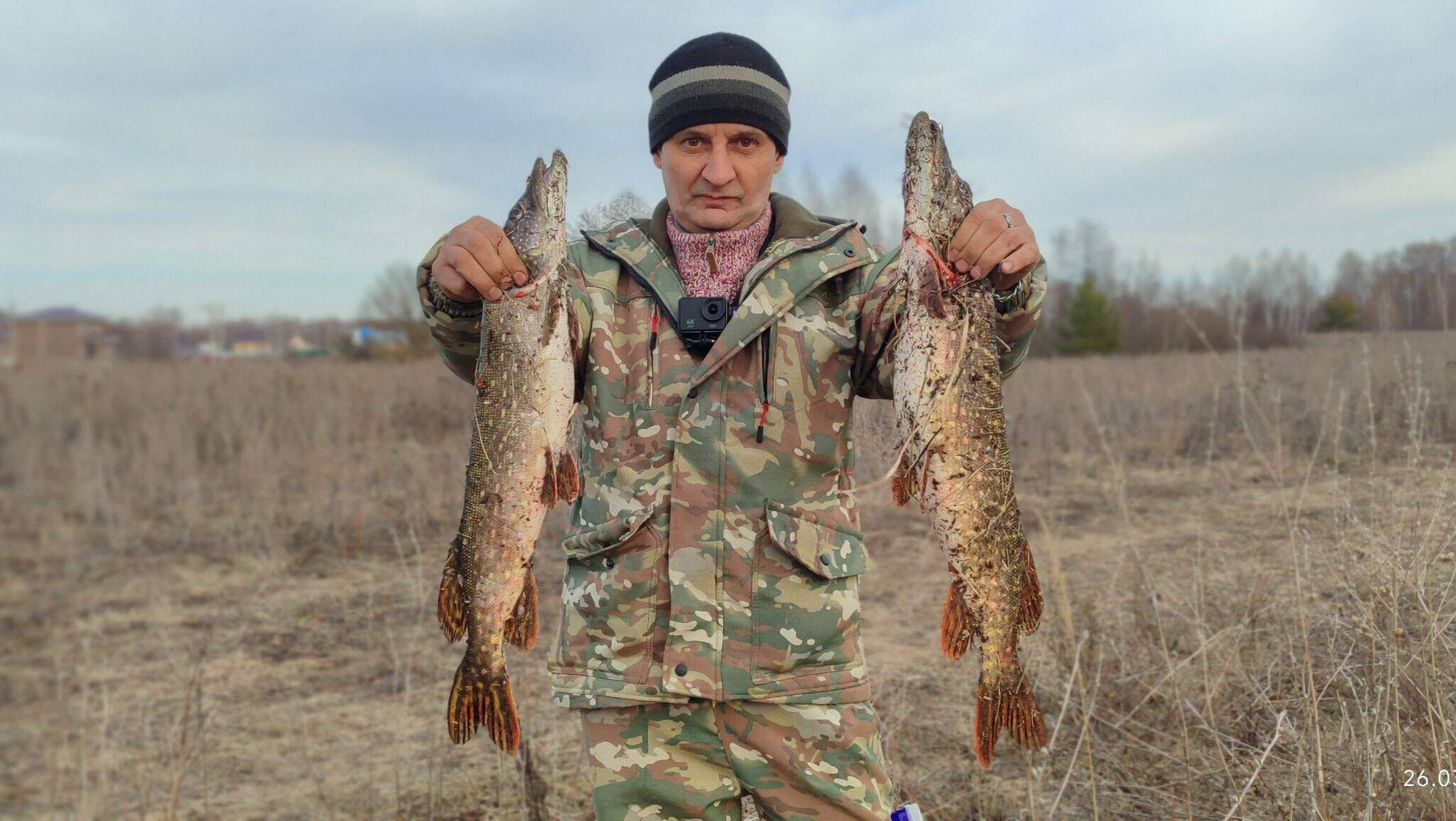 Щуки Монстры из нашего ручья