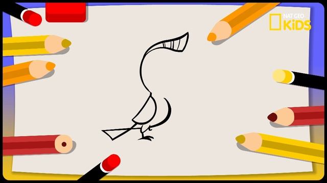 Pintura Mágica con la Mariposita || Gallina Pintadita Mini en #NatGeoKids