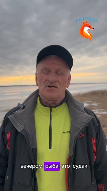 В какое время лучше ловить разные породы рыб? 🧐