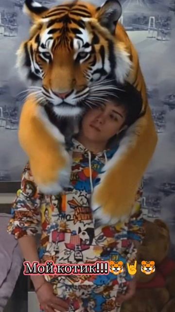 #Мой🐯🐯🐯