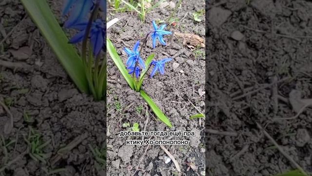 Аффирмации/самооценка/денежная