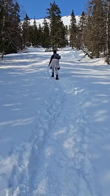 Зимний Таганай❄️2025