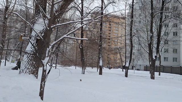 МОСКВА. ТАГАНКА. ТАГАНСКИЙ ДЕТСКИЙ ПАРК. 27.01.24