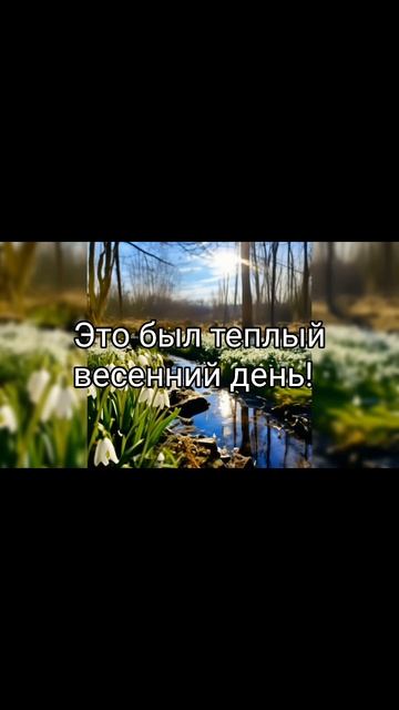 Pisatel - Ручейки