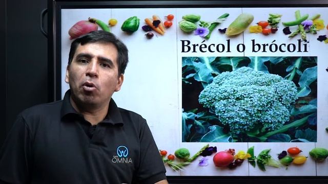 As Hortaliças e Verduras em Espanhol - Brasil Escola