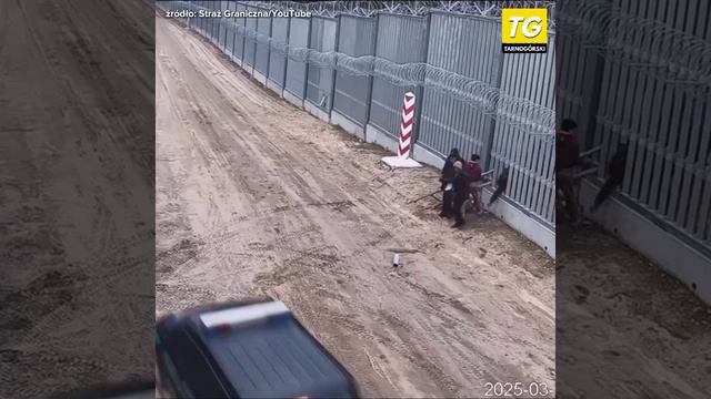 Польскими погранцами была пресечена евроинтеграция группы нелегалов