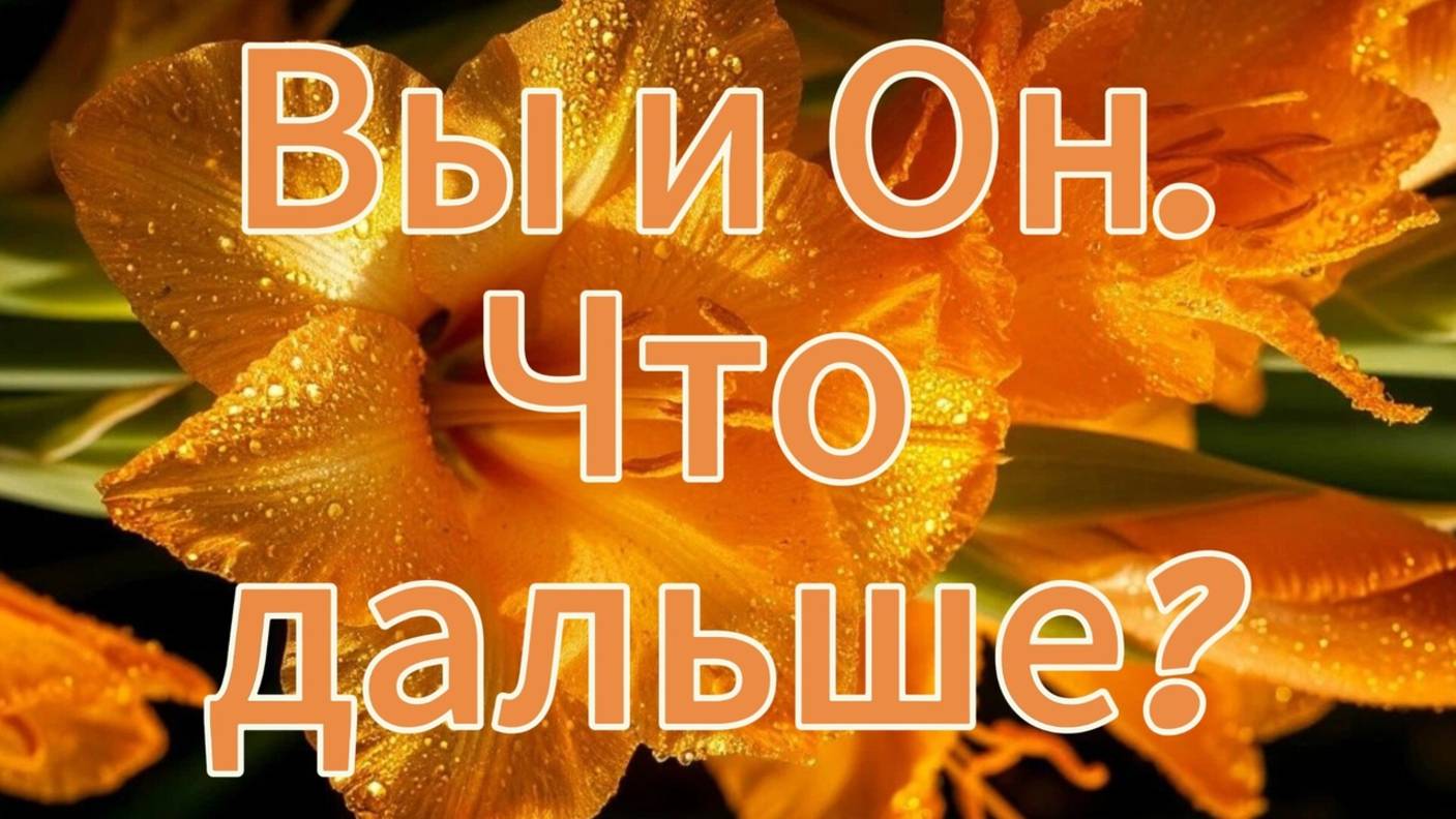 Вы и он.Что дальше? #таро