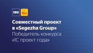 Создание централизованной системы управления НСИ в «Segezha Group» на базе 1С:MDM