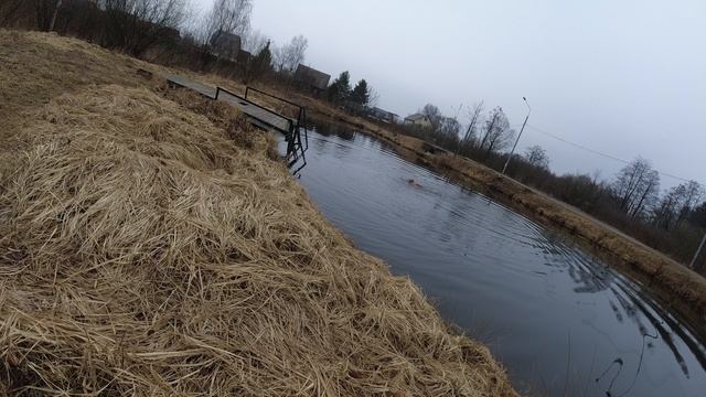 нивка3