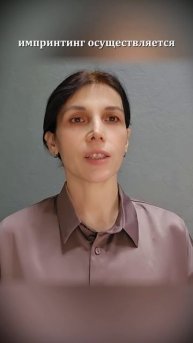 Как детские впечатления влияют на нашу взрослую жизнь.