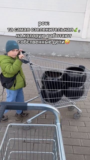 #фитодизайн #комнатныерастения #озеленение