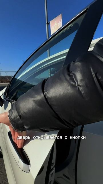 Lexus NX400h+