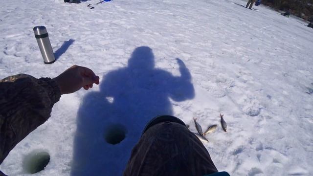 СУМАШЕДШИЙ КЛЁВ ПО ПОСЛЕДНЕМУ ЛЬДУ!РЫБАЛКА в МАРТЕ