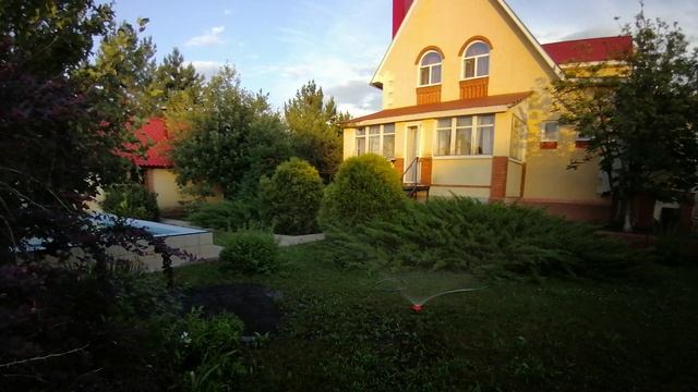 VID_20240616_202849