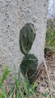 В эпицентре событий