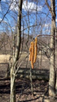 Природа/деревня/весна2025