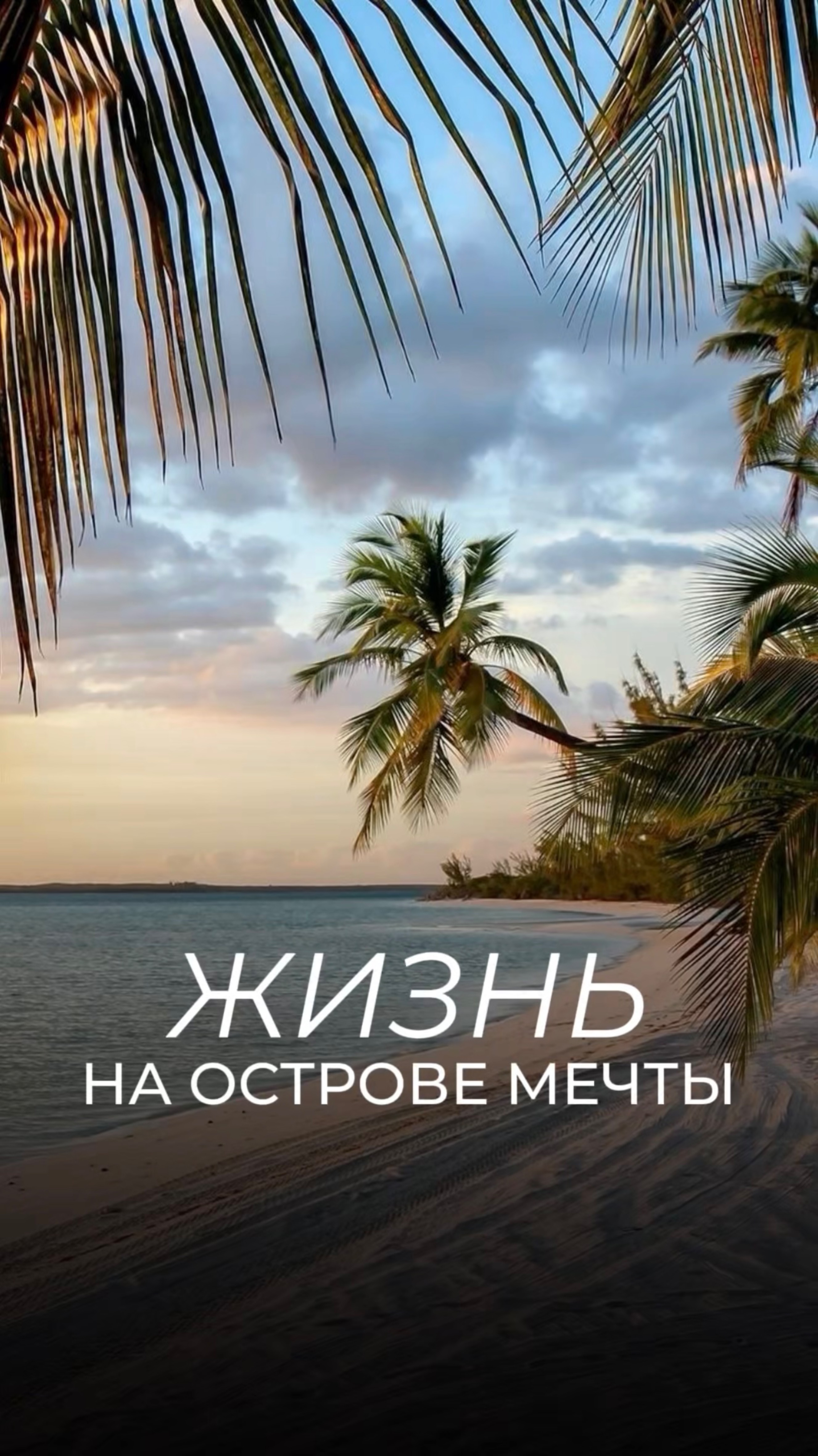 Жизнь на острове мечты