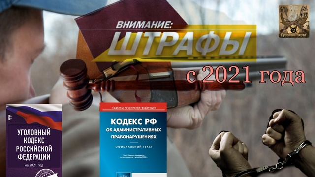 Штрафы и наказание за незаконную охоту
