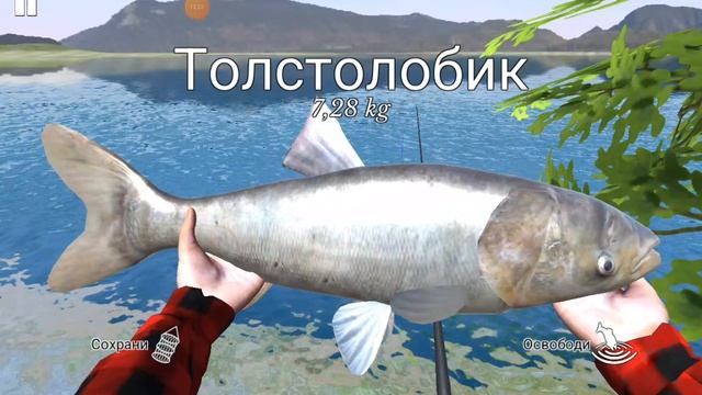 Душа поёт когда клюёт!!