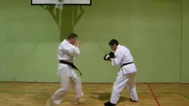 Zabrzański Klub Karate "BUSHIDO"