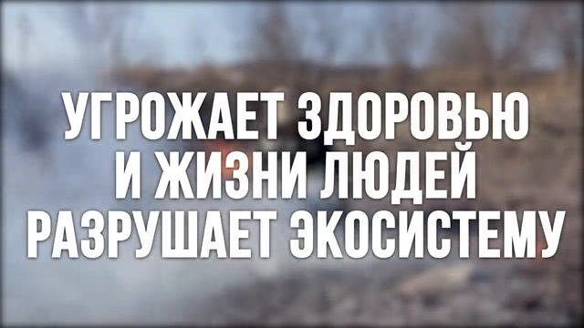 Ролик   Пал травы