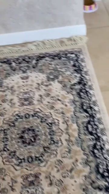 Поставила питомцам капли от клещей и глистов.