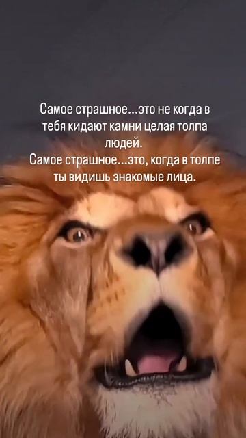 Правда