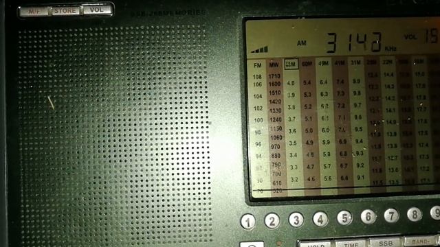 "РадиоХУЛИГАНЫ" - приём на Degen DE-1103 (3 Мгц - 100 м).