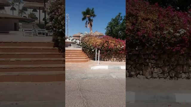 1000004515.mp4