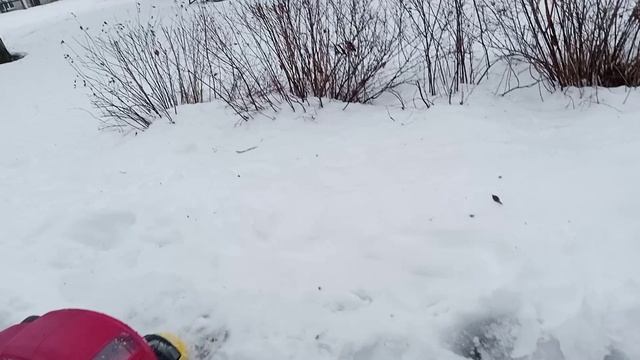 3 Д авто