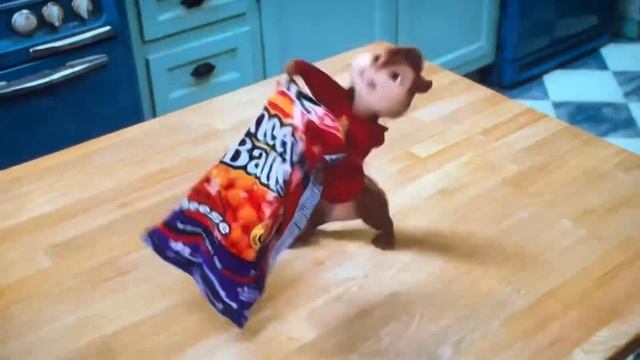 Джеки чан Элвин сырные шарики