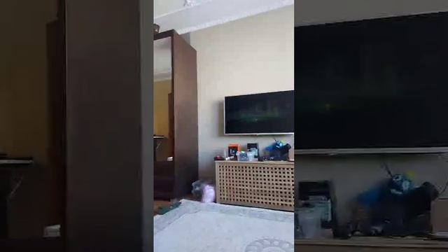 1000009016.mp4