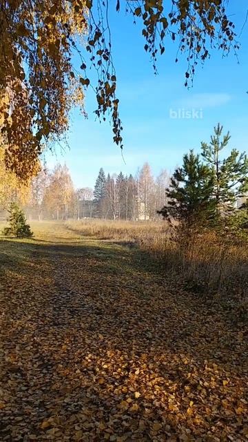 Осень в Дорохово