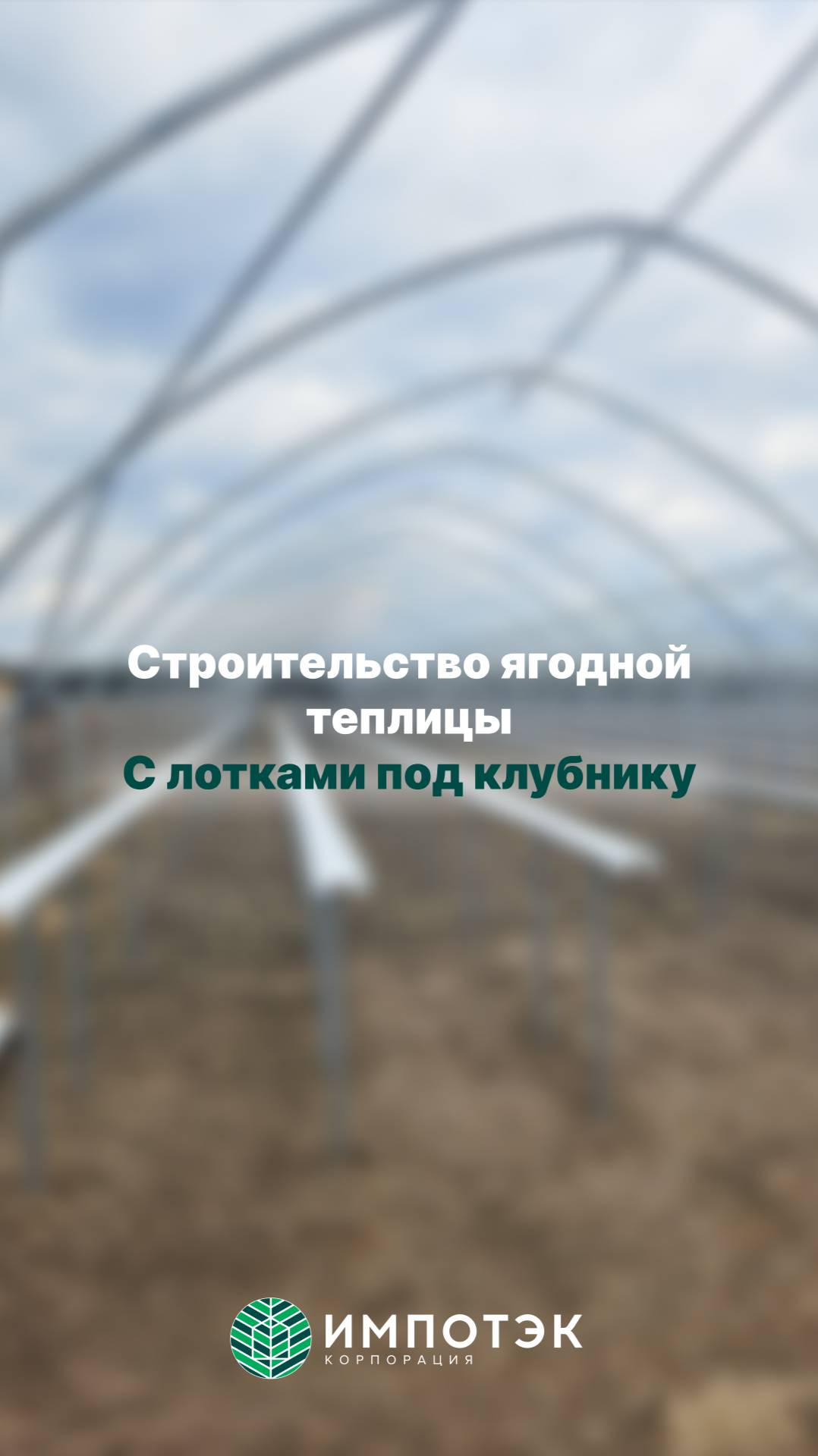 Промышленная теплица Ягодная