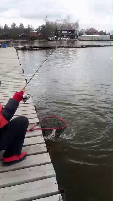 WhatsApp Video 2025-03-28 at 15.46.38