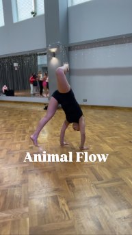 Animal Flow