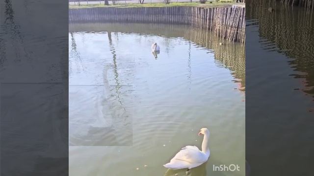 Разное