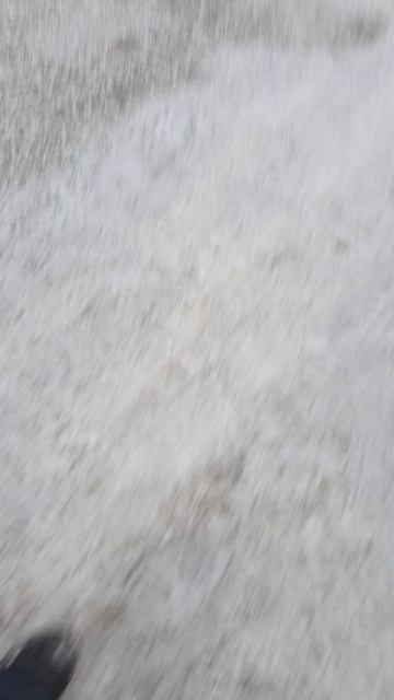 1000007808.mp4