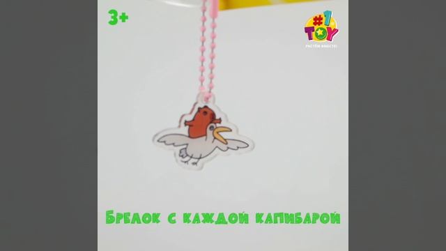 T25987 Капибара