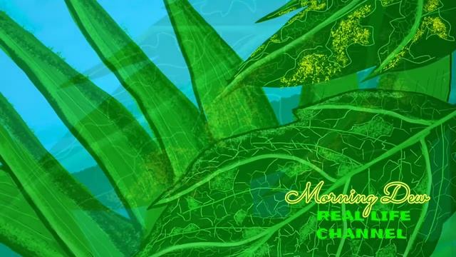 OBRA NI LOLA 22 | #OBRA | MORNING DEW | EASY PAINT | REAL LIFE CHANNEL
