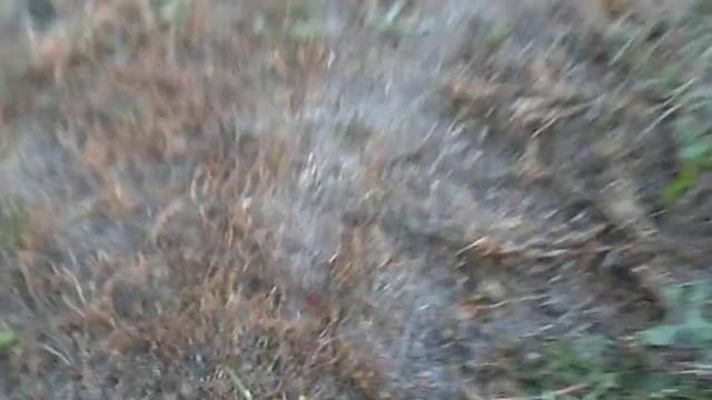 Titan Rifle 2.0 BB Test Firing