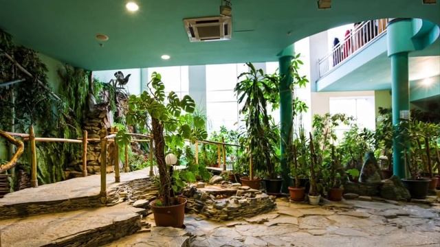 11_Театр кукол «ШУТ»—экскурсия