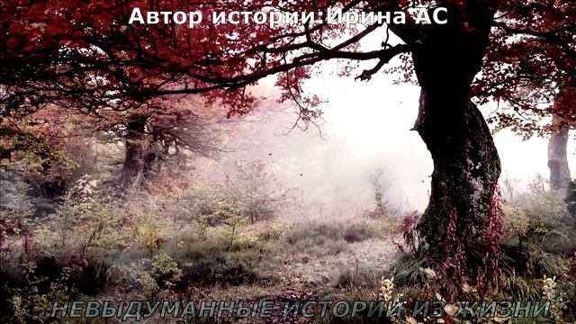 Дима изменяет молодой жене Ане.