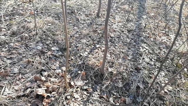Интересные находки в мусорке