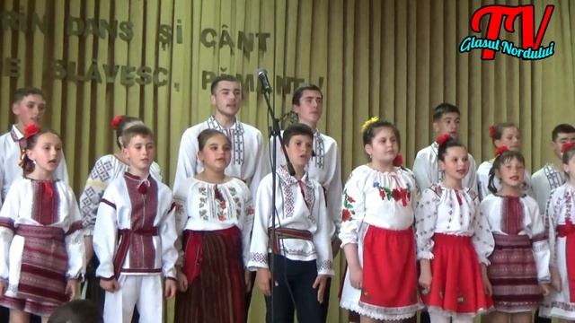 FESTIVALUL DE CREAȚIE LICEUL TEORETIC TABANI 2023