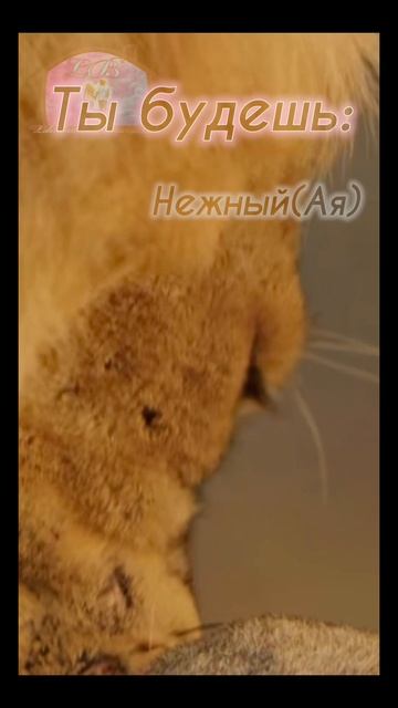 А ты - нет!!!