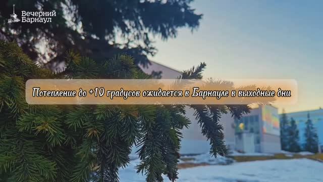 Потепление до +10 градусов ожидается в Барнауле в эти выходные