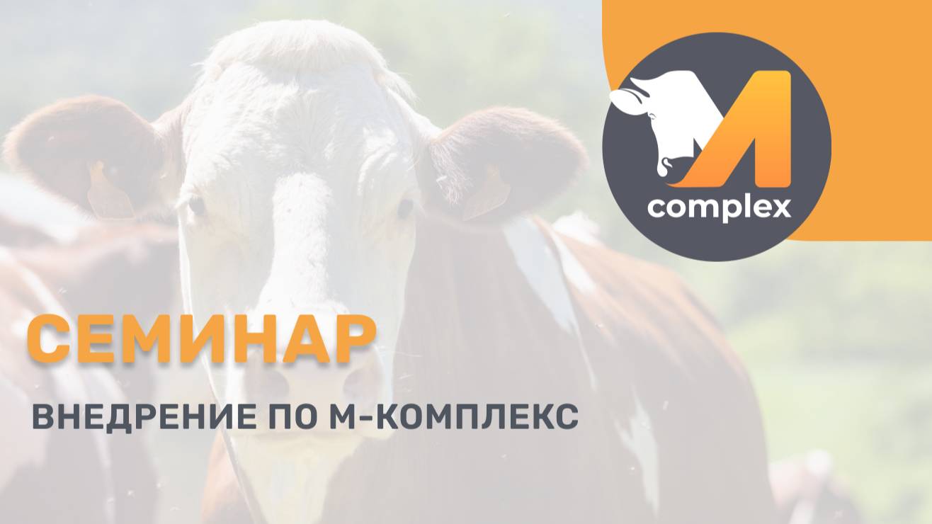 Внедрение ПО М-комплекс: к чему быть готовым | Семинар М-комплекс