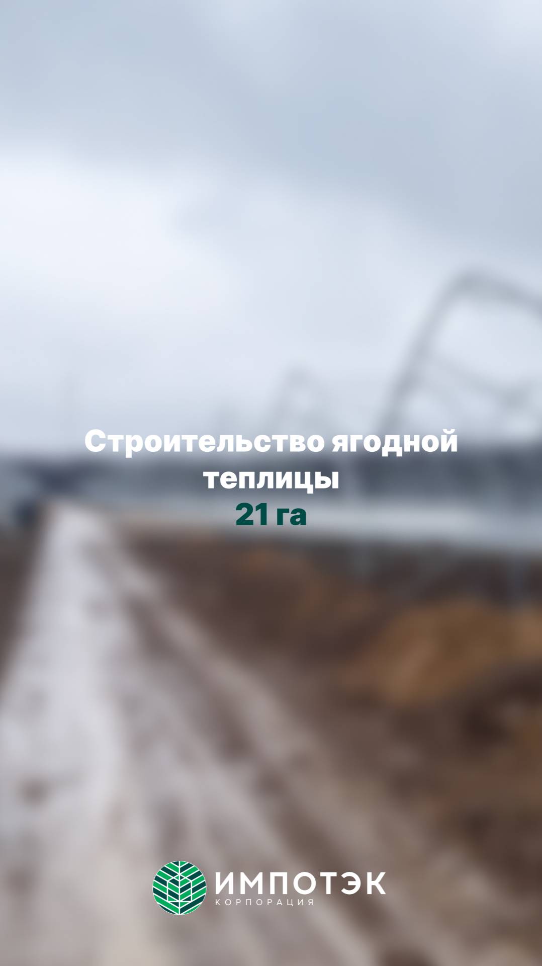 Сезонная теплица Ягодная