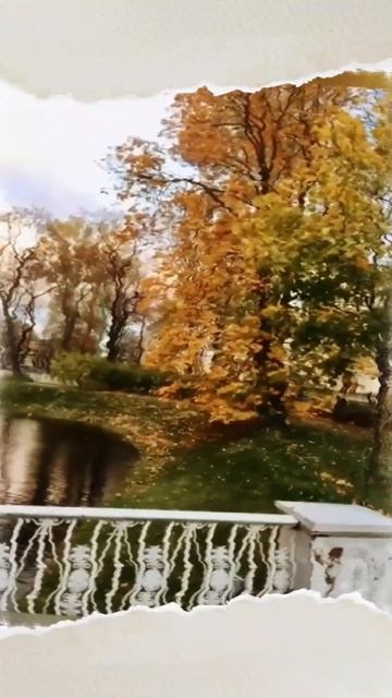 Питер🌿🍂